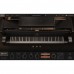 IK Multimedia Pianoverse HAMBURG GRAND S274 鋼琴虛擬樂器 Plugin (序號下載版)